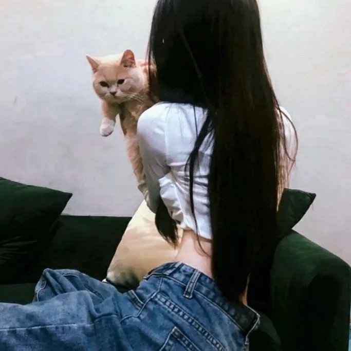 火线追凶之绝命狙击
